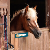 Spindschild LOVE & HORSE | 30 x 10 cm | beschreibbar, Hartschaum